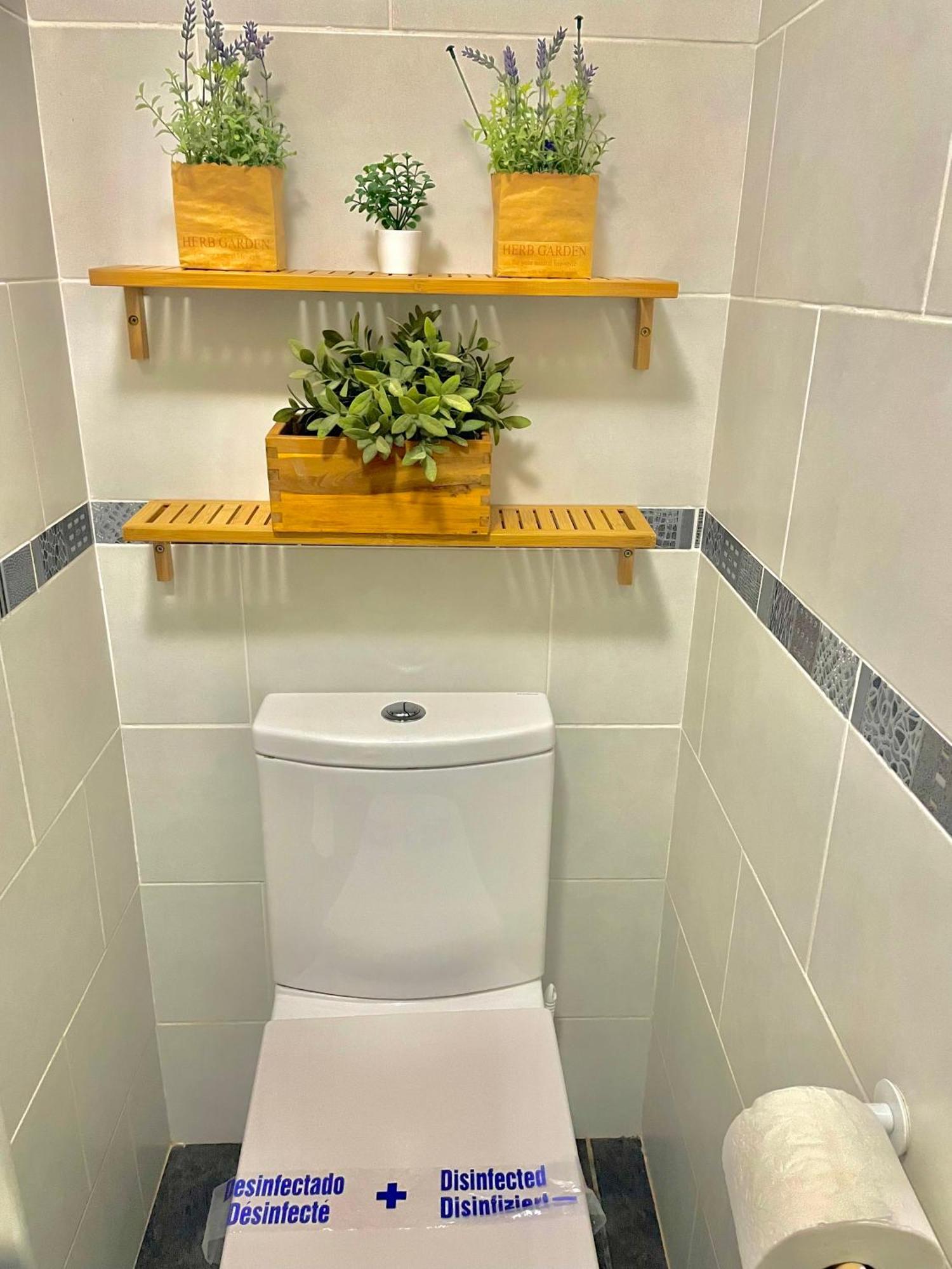 Luxury Suites Minerva Beach 贝纳尔马德纳 外观 照片
